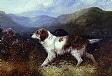 Two Setters in a Landscape by George Armfield